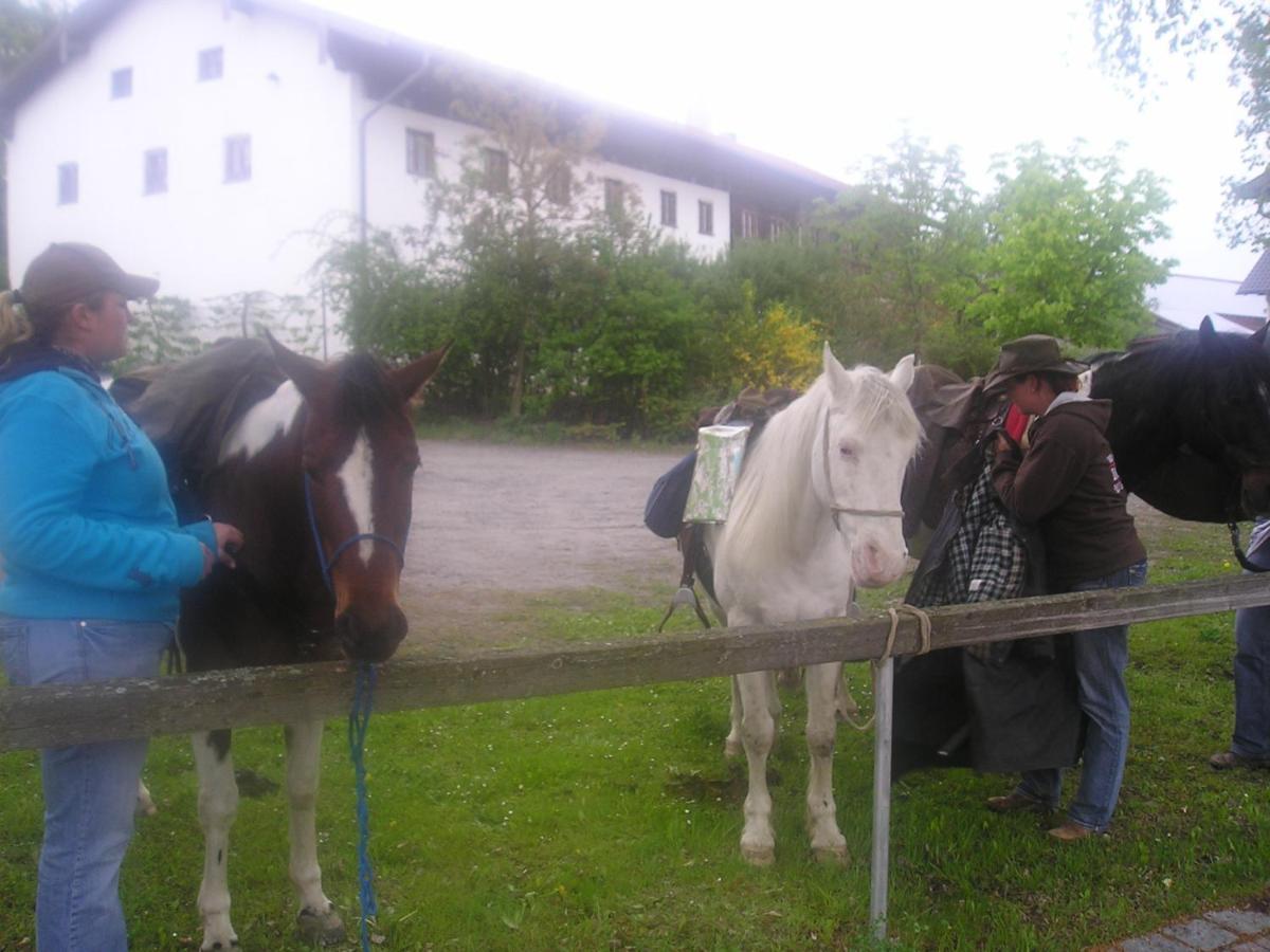 Gasthaus Zum Spaeth Englmannsberg Exterior foto
